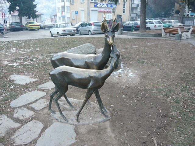 Deers / Сърни