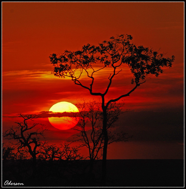 Pôr-do-sol - Sunset