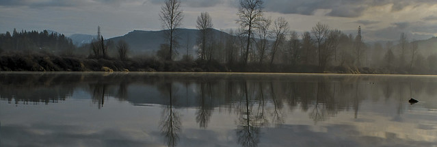 Fraser River Panorama