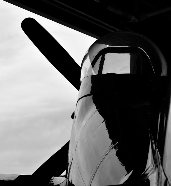 P-51D Mustang WWII Fighter