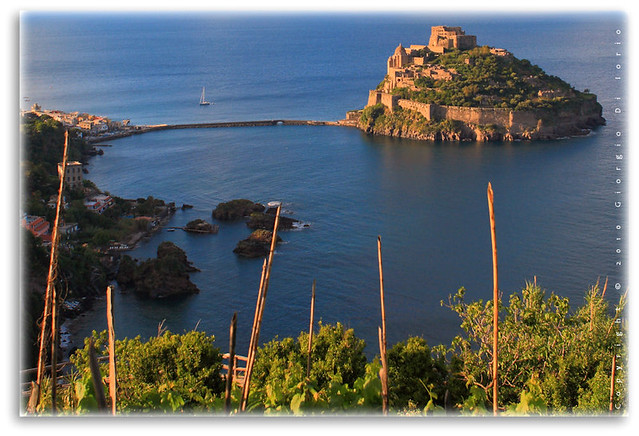 Postcard from Ischia