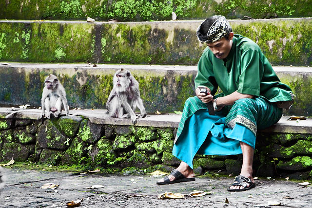 Ubud, Bali - At Monkey Forest