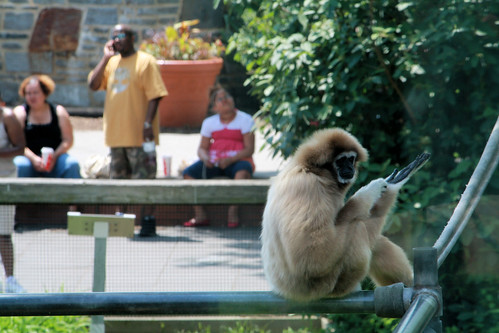 Monkey Biznezz by UrbanPerspectiV