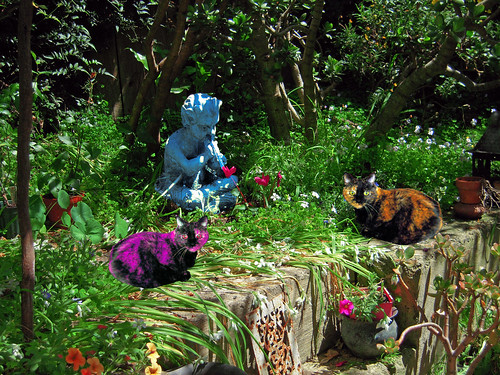 Kitty Wittys Guard the Secret Garden by Walker Dukes