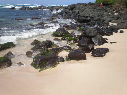 Algae, rock, sand, and sea at Laniakea Beach | by Joel Abroad
