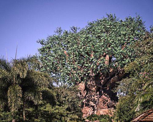 Daily Disney - Tree of Life by Express Monorail