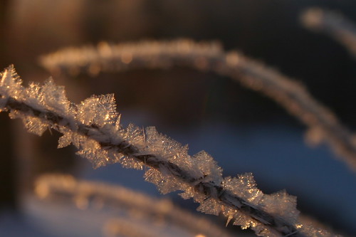 snow sunrise frost glow stonemeadow
