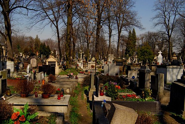 Cmentarz Rakowicki 9