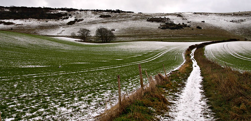 Frozen Path | by Gay Biddlecombe