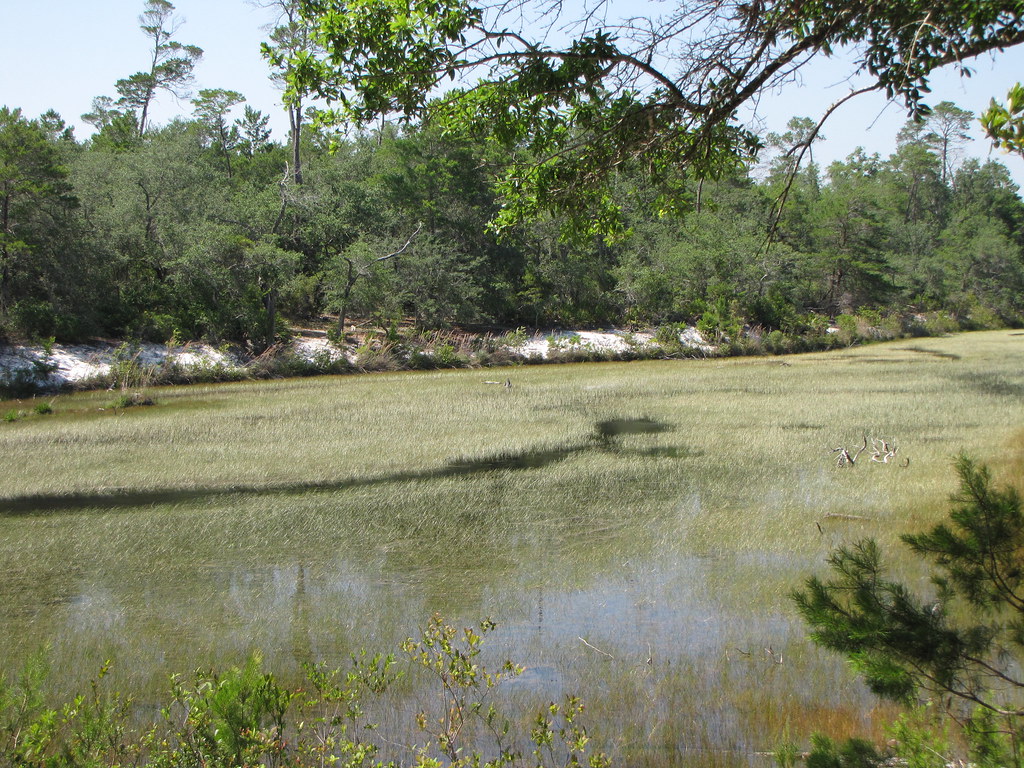 Fred Gannon Rocky Bayou State Park