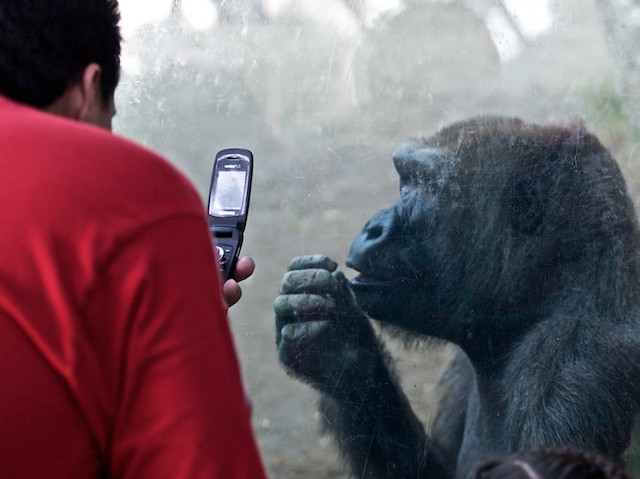 So tell me more about your cell phone's data plan...