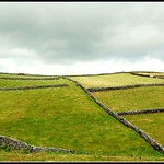 Azores:  Handmade old Lava Stone-walls