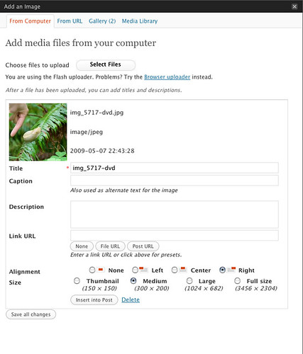 Wordpress