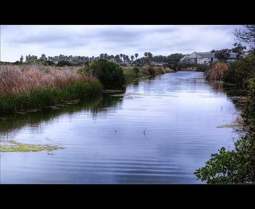 water grass reflections explore wetlands ormondbeach nikond80 oxnardcalifornia sigma18200hsmos