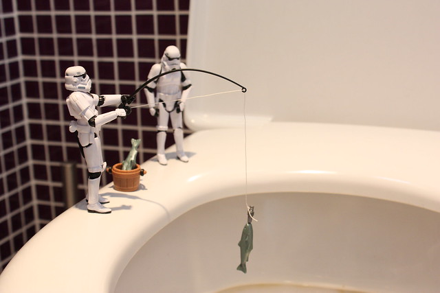 Fishing in the Toilets