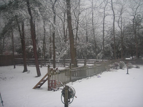 Backyard | by cmh210