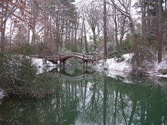 The bridge over the Crim Dell at the College of William and Mary