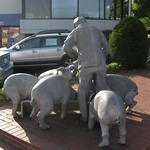 Pig feeder statue