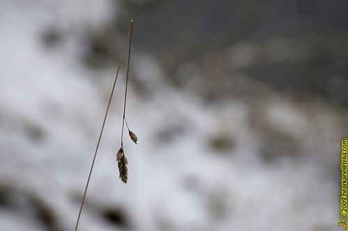 The straw is broken, I hope you're not | by Hannu_E_K