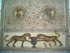 115. Museu de Ptolemaida. Mosaic amb tigres