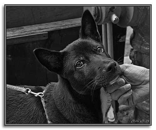 Everybody Loves Me by SloBob_CA