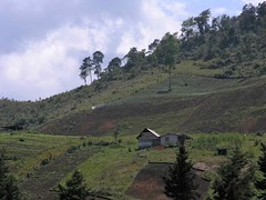 House, fields and mountain - Casa, campo y cerro; camino de Tres Cruces a Purulhá, Baja Verapaz, Guatemala