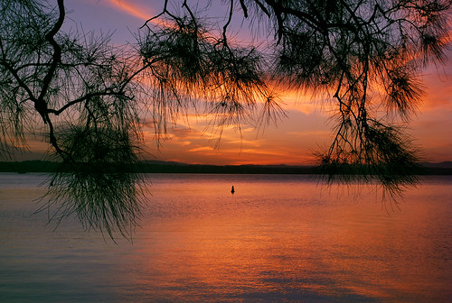 sunset orange lake water silhouette clouds nikon dusk newsouthwales lakemacquarie d60 casuarina bonnellsbay sheoak balcolyn shinglesplitters theworldwithanikond60