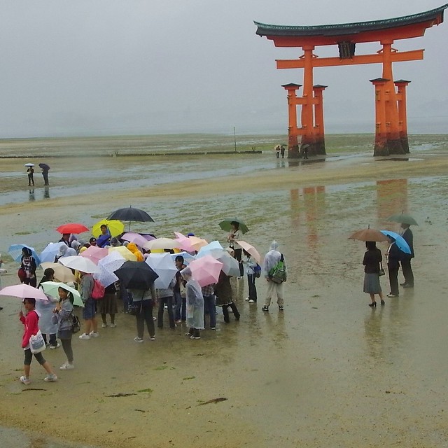Miyajima Torii in the Rain