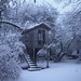 snow 2009: treehouse