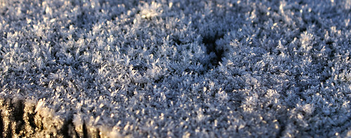 schnee winter snow cold ice nature closeup iceage germany landscape deutschland scenery crystal natur 100 alpha makro kalt eis landschaft kristall sona eisblume