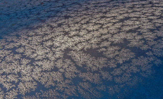 Snowflakes on the car in Big Bear
