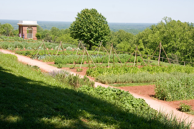 Monticello Garden