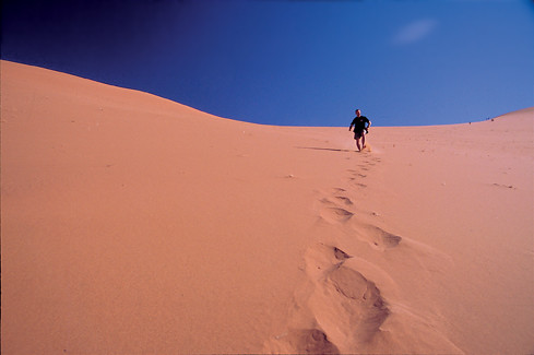 Runnin' Down a Dune