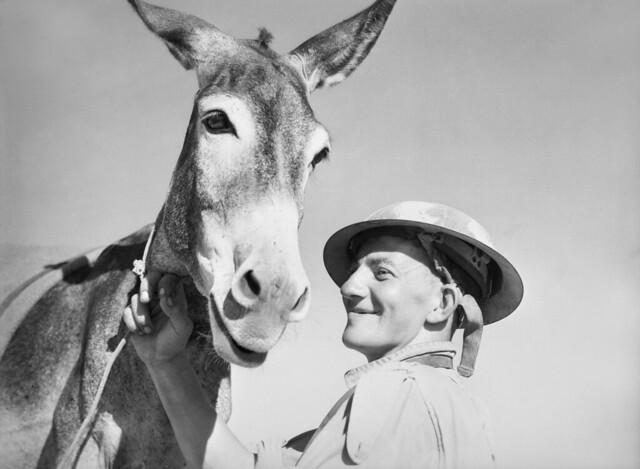 A man with donkey, 1941