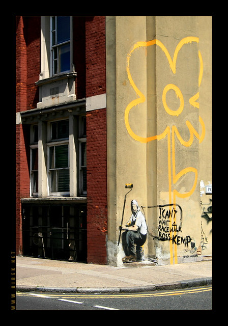 Banksy Yellow Lines Flower Painter