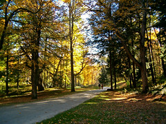 The Mount entrance drive in fall by David Dashiell.jpg