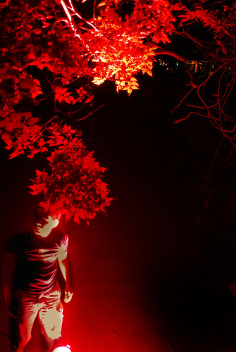 light red portrait selfportrait tree me leaves self landscaping 365 d60 365days nikond60 365project lampist