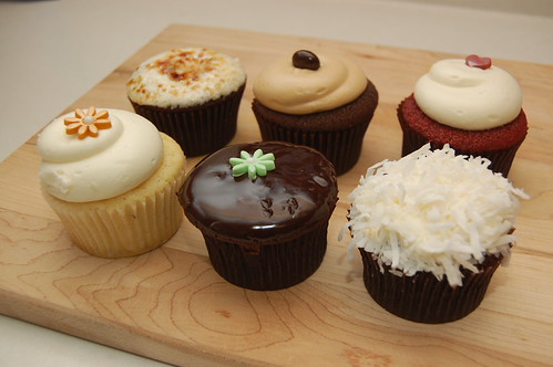 Georgetown Cupcake - coconut, chocolate ganache, vanilla, toasted marshmallow, mocha, red velvet | by treeandapple