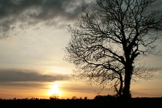 Spring Sunset in Fingal