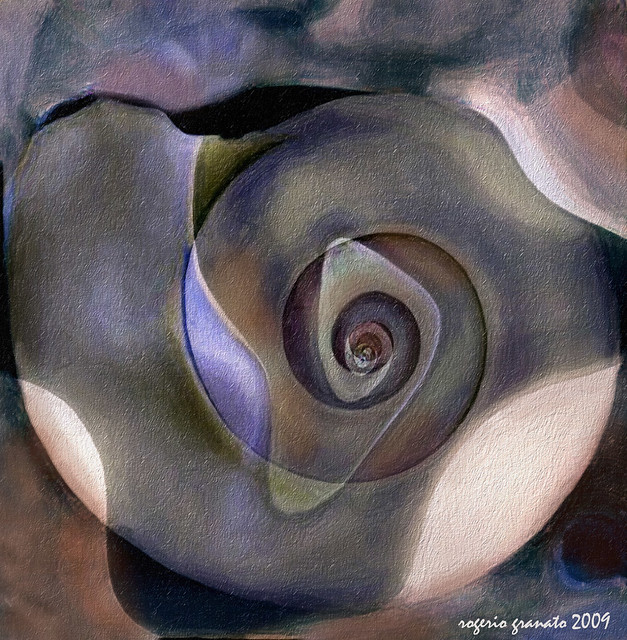 the shell - a  digital painting