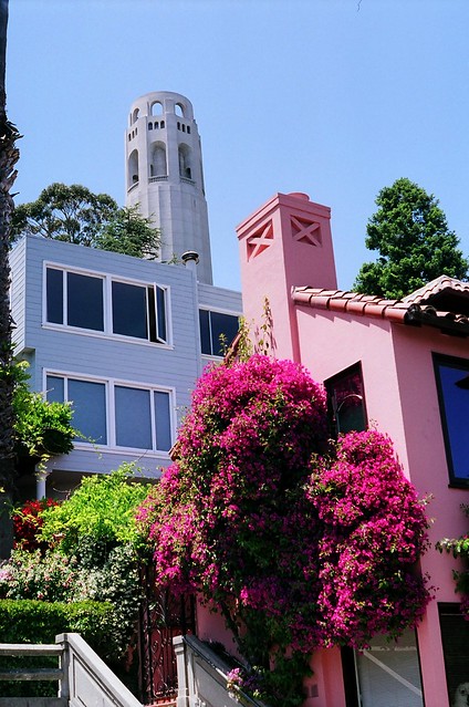 Fed 5C of Coit Tower