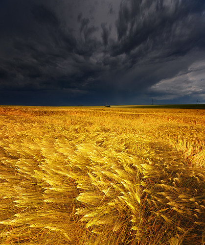 They say, that you shouldn't be out on a plain field during a thunderstorm... by Philipp Klinger Photography
