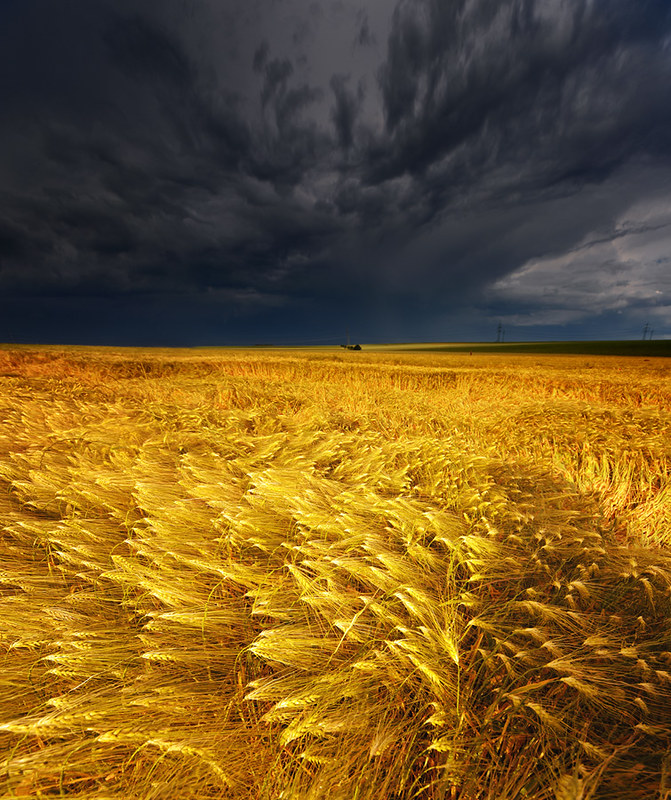 They say, that you shouldn't be out on a plain field during a thunderstorm... by Philipp Klinger Photography