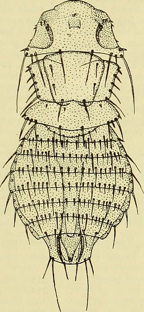 Image from page 270 of 