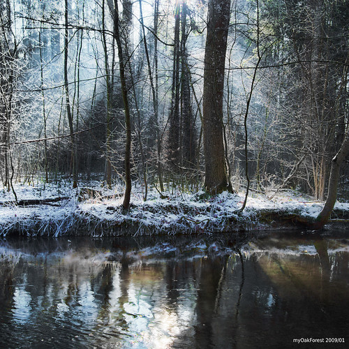 winter sun river deutschland bavaria licht stream bach rays fluss strahlen theunforgettablepictures