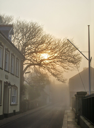 street tree sunrise geotagged for alderney channelislands englishchannel geo:lat=49714627 geo:lon=2205589