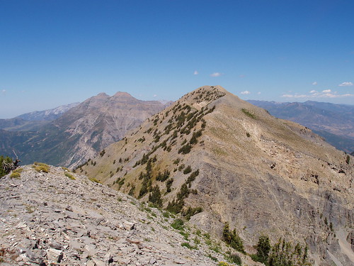 Looking north from the south summit toward the true summit of Cascade Mountain and Mount Timpanogos.