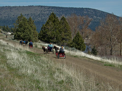 Little Horses - OC&E State Trail