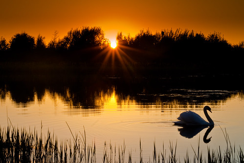 As the light fades away... by chillie 63