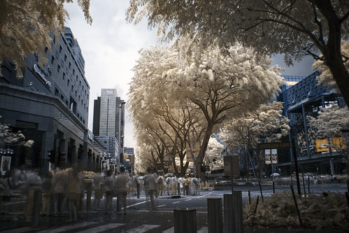 Orchard Road Infrared #1 by teddy-rised